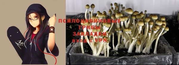 соль ск Бородино