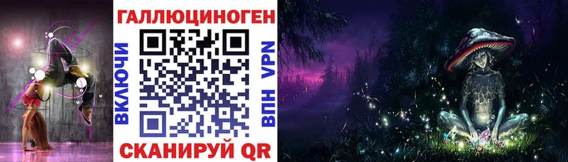 Псилоцибиновые грибы Cubensis  кракен зеркало  Бердск 
