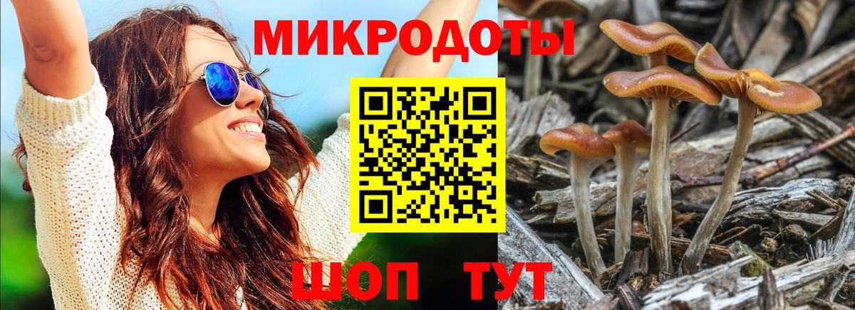 Псилоцибиновые грибы мицелий  Вход с VPN  Бердск 