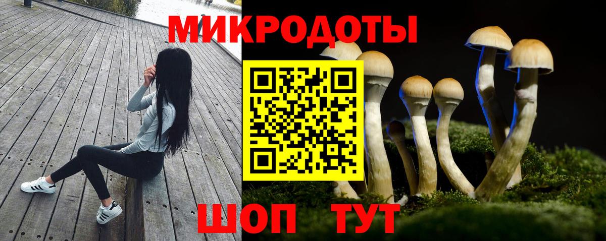 Псилоцибиновые грибы GOLDEN TEACHER Бердск